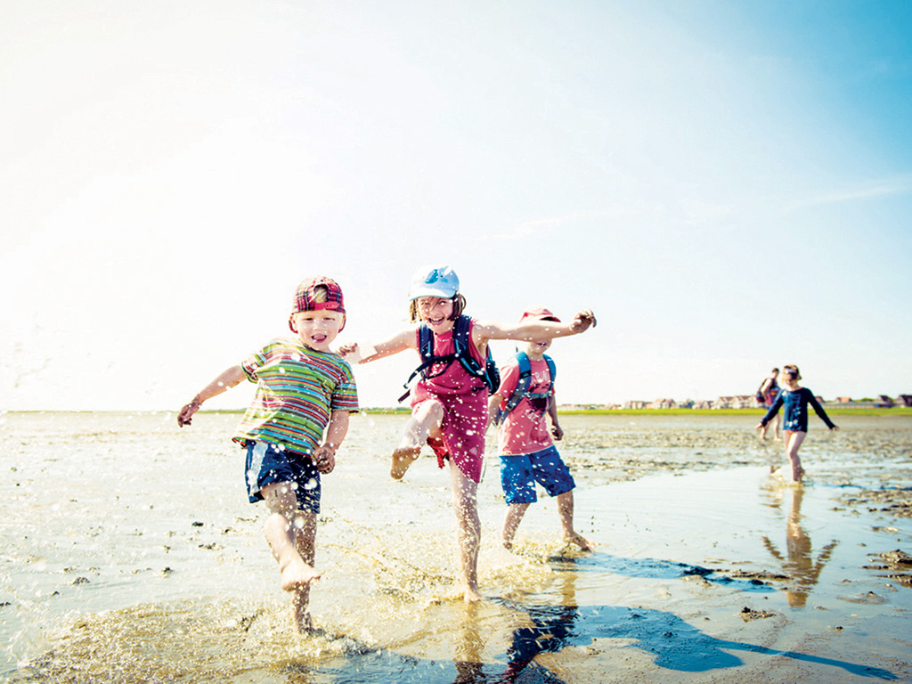  Explore Germany with a light footprint 